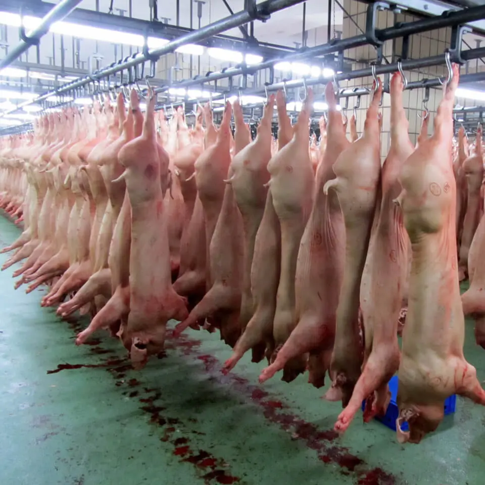 Anlagenbau_Haas_Branchen_fleisch-und-wurstwarenindustrie_4